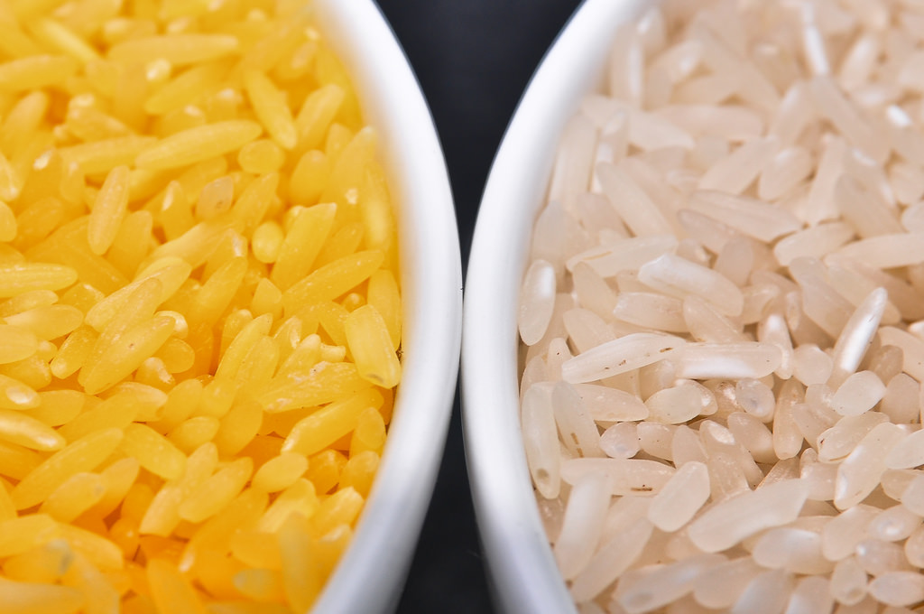 Golden Rice