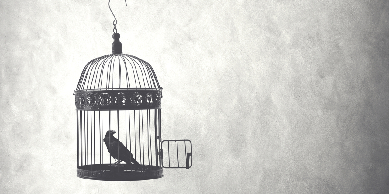 Bird in cage with door open