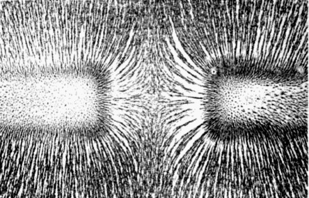 “Magnetic field of bar magnets repelling” by Alexander Wilmer Duff / Public domain