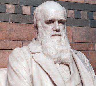Just a Theory? How Darwin Discovered Evolution (Part 1)
