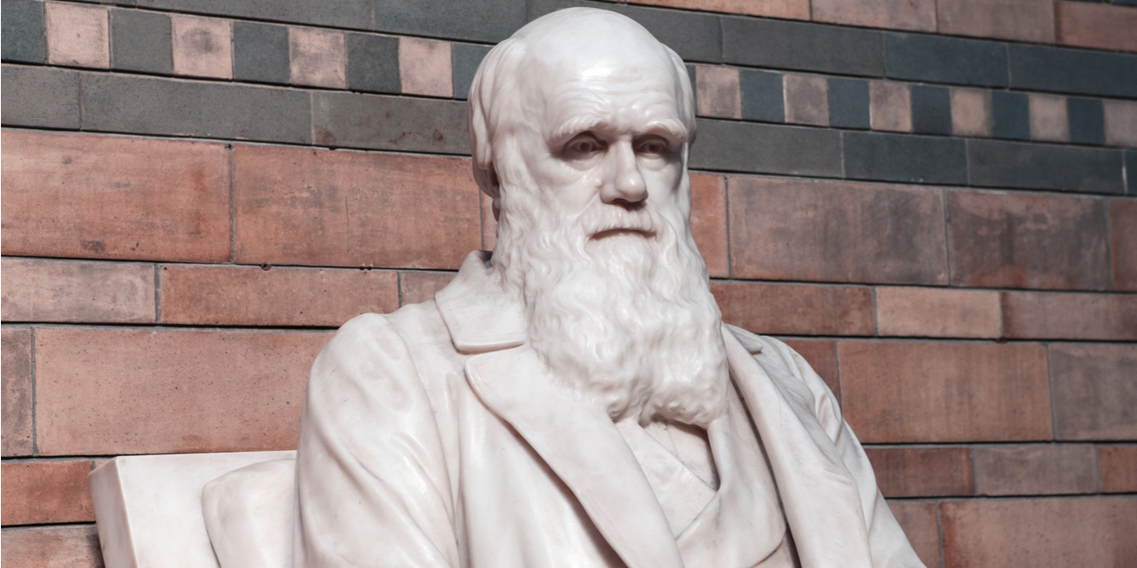 Just a Theory? How Darwin Discovered Evolution (Part 1)