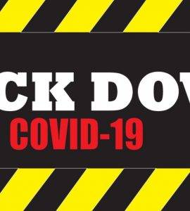 Arguments for Lockdowns Misrepresent Economic Evidence