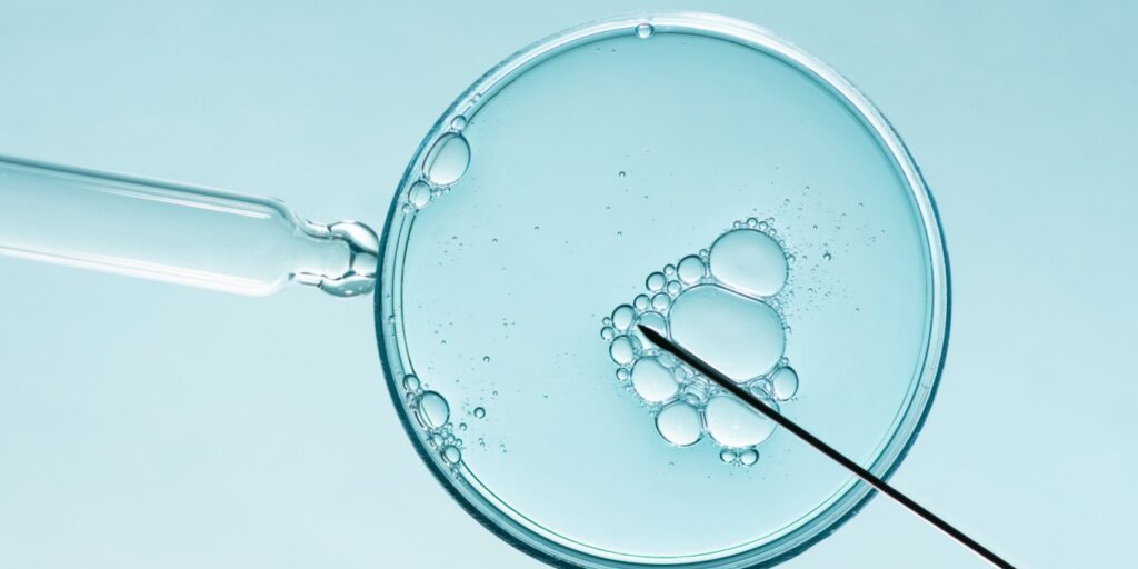 The Absurdity at the Heart of the Alabama IVF Controversy