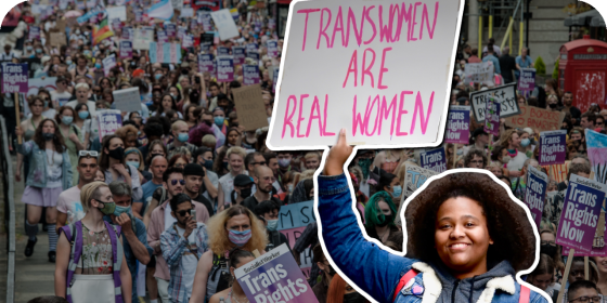 Evaluating the Trans Movement