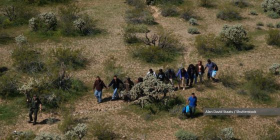 Neglected Victims, Empowered Cartels